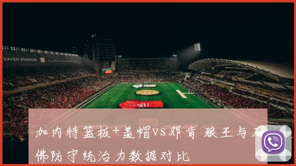 加内特篮板+盖帽vs邓肯 狼王与石佛防守统治力数据对比